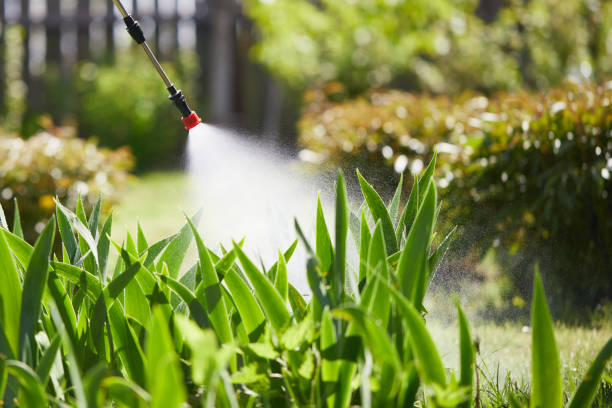 24/7 Emergency Cockroach Control experts in Port Angeles, WA