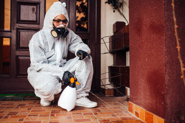 Reliable Cockroach Control contractor in Port Angeles, WA by Nex Pest Control